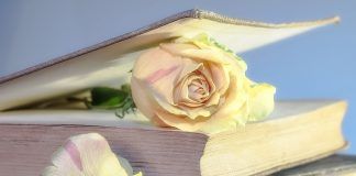 AMOR Y CARIDAD Amor y caridad