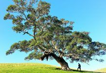 EL EQUILIBRIO El equilibrio