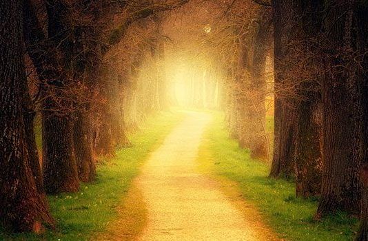EL CAMINO DEL BIEN El camino del bien