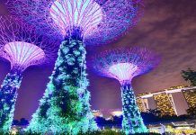 EL JARDÍN DE LAS ESTRELLAS El jardín de las estrellas