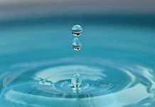 LA GOTA La gota
