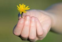 GRATITUD: CONDICIÓN DEL SER HUMANO Gratitud: Condición del ser humano
