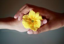 CÓMO SE DESARROLLAN LOS SENTIMIENTOS Cómo se desarrollan los sentimientos