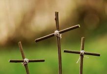 LAS CRUCES Las cruces