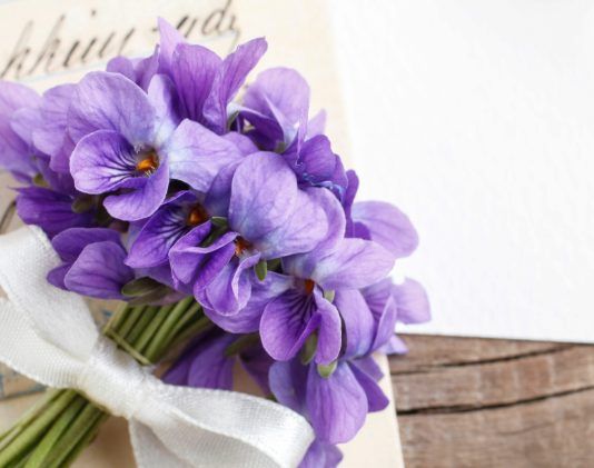 EL RAMO DE VIOLETAS El ramo de violetas